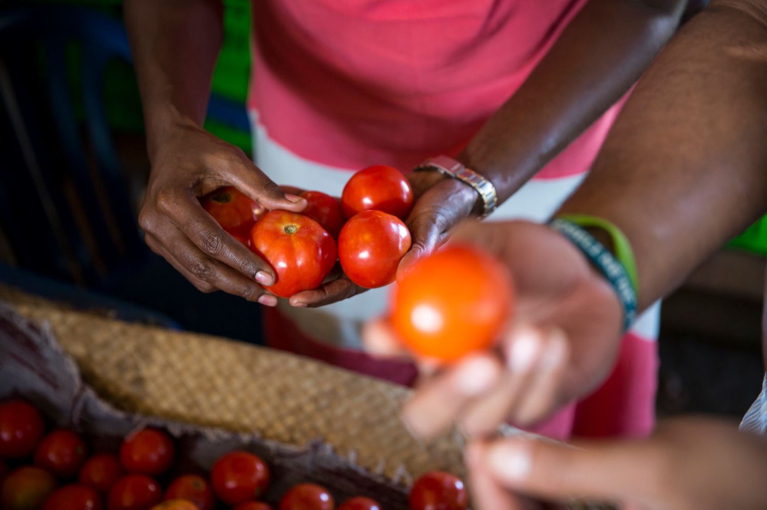 reducing-horticultural-loss-in-the-south-pacific-aciar